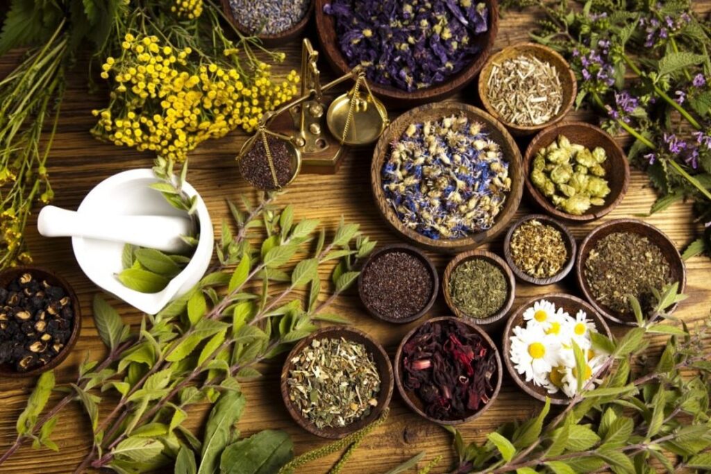 Complementary Amazonian Plant Treatments & Cleansings